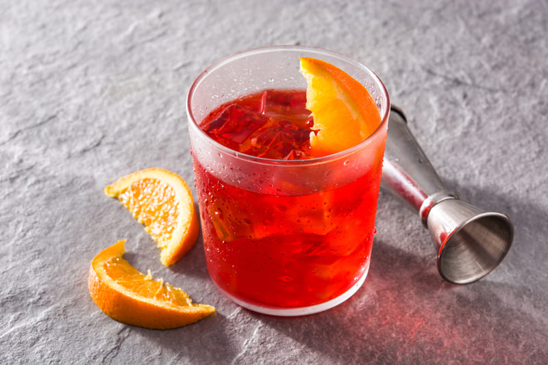 You are currently viewing 15 Best Gins for Negroni in 2023