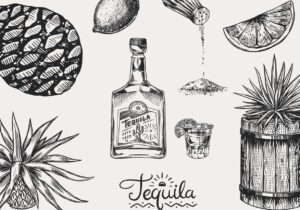 Read more about the article Different Types of Tequila Explained