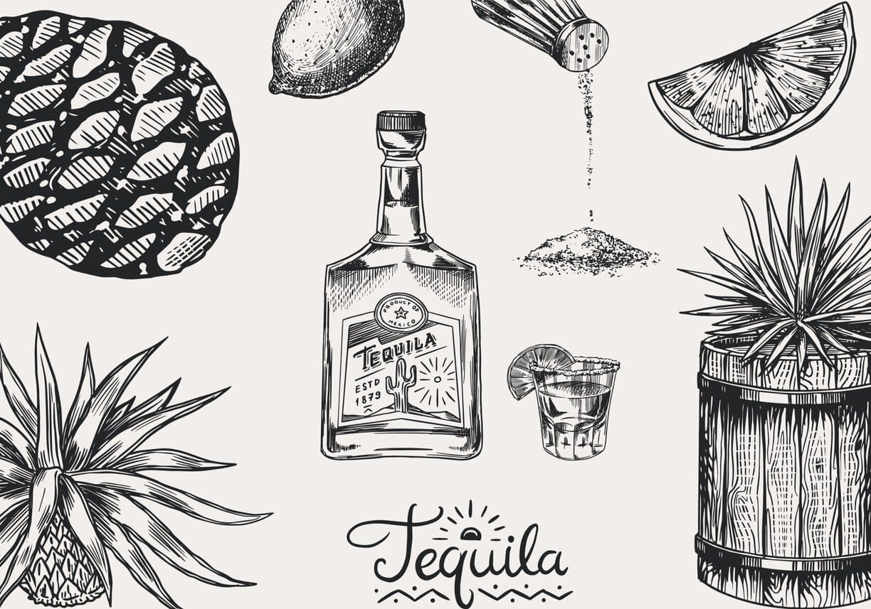You are currently viewing Different Types of Tequila Explained
