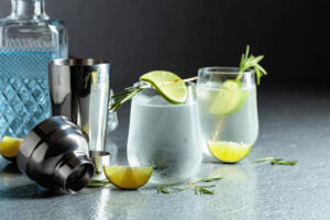 Read more about the article 20 Best Gins For Gin And Tonics in 2024