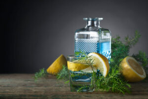 Read more about the article 20 Top-Shelf Gin Brands: Exploring the Finest